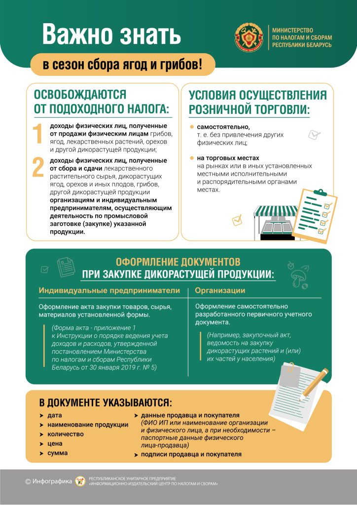 грибы.jpg грибы.jpg